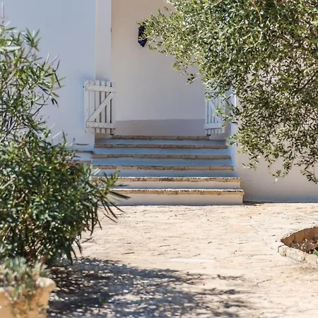 فيلة Adriatic
